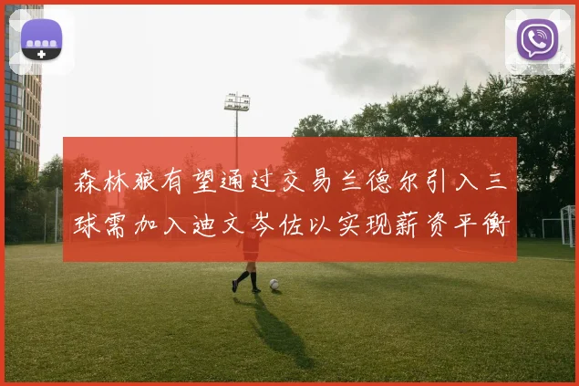 森林狼有望通过交易兰德尔引入三球需加入迪文岑佐以实现薪资平衡