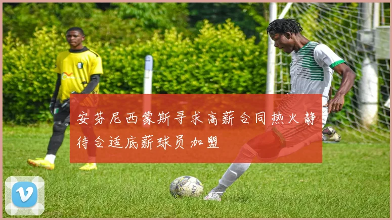 安芬尼西蒙斯寻求高薪合同热火静待合适底薪球员加盟
